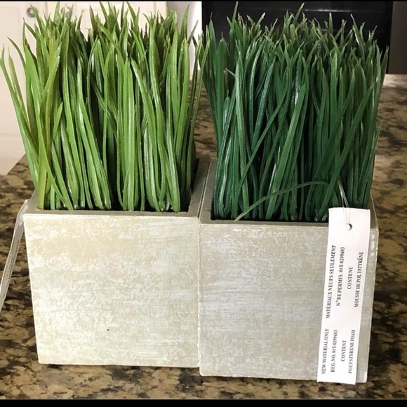 Artificial plants
